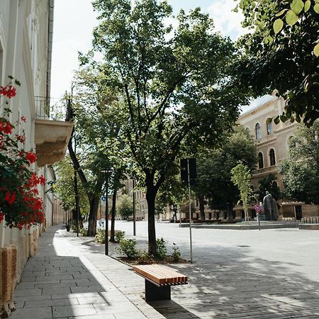 Contessa Apartment Cluj Napoca Eksteriør bilde