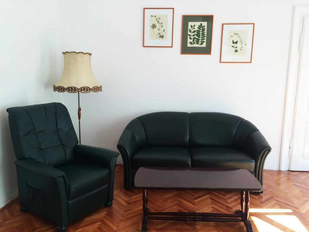 Contessa Apartment Cluj Napoca Eksteriør bilde